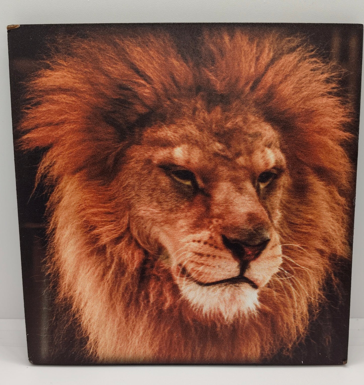 Wall Poster
