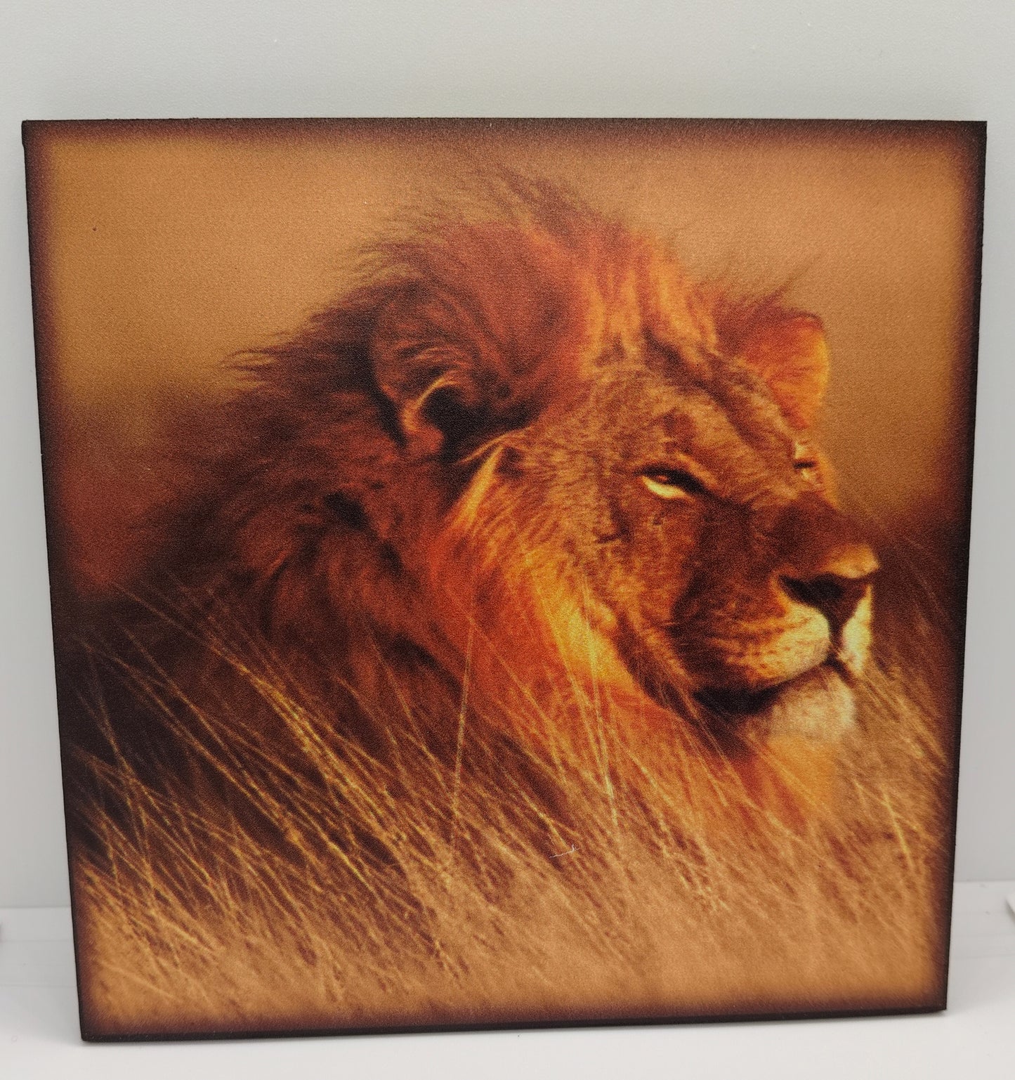 Wall Poster